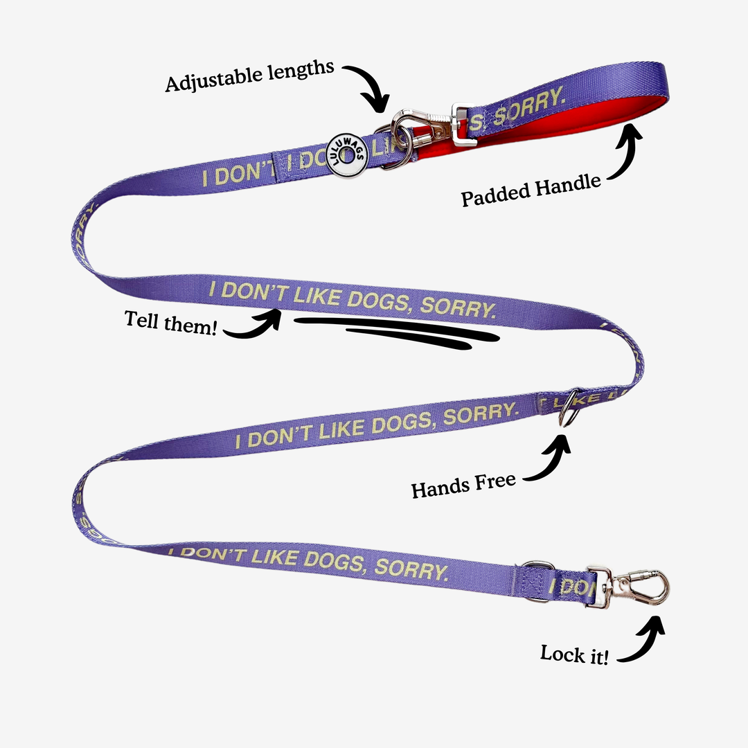 ‘I don’t like dogs, sorry’ © Hands-Free Dog Lead