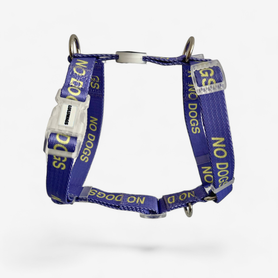 'No Dogs' © Dog H-Harness