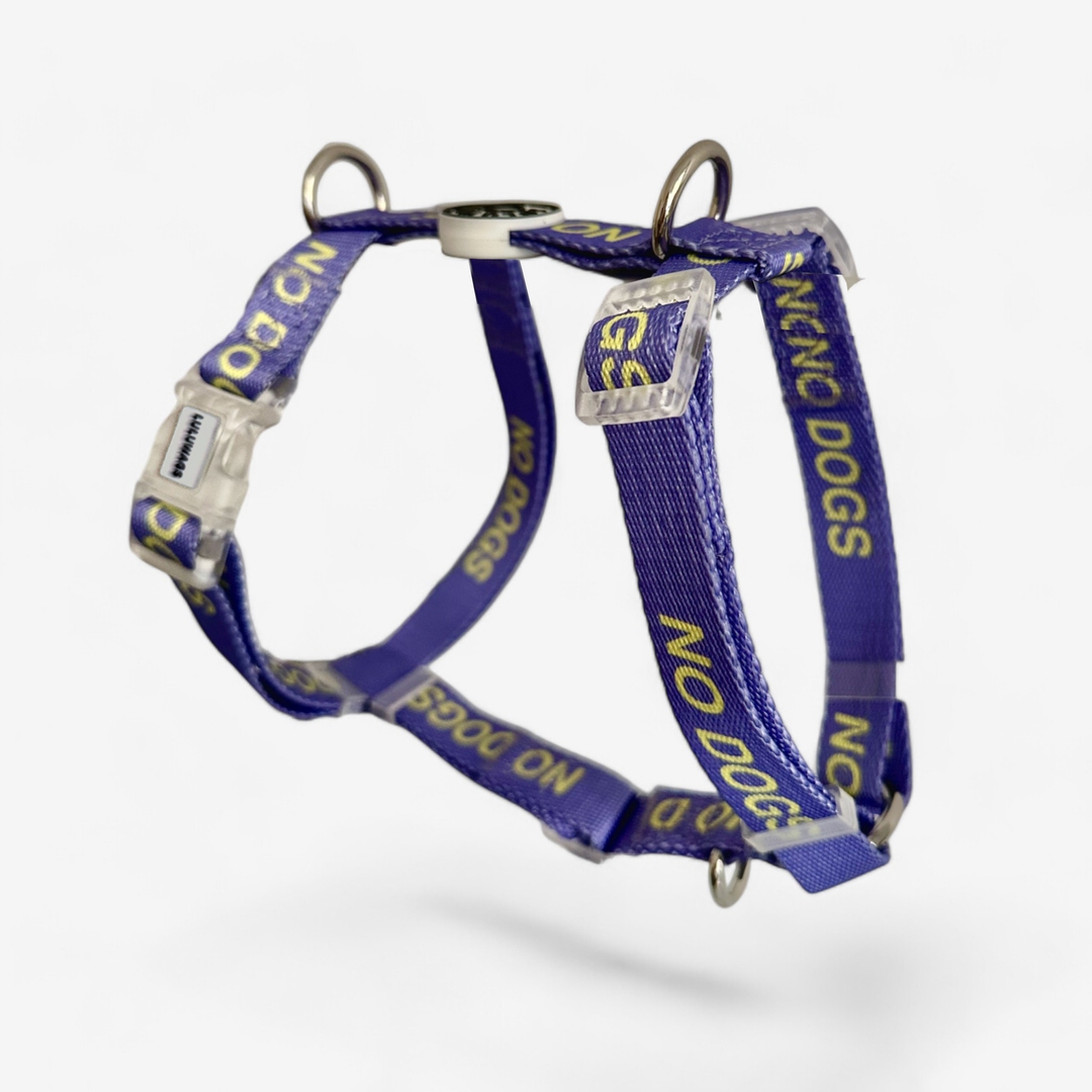 'No Dogs' © Dog H-Harness