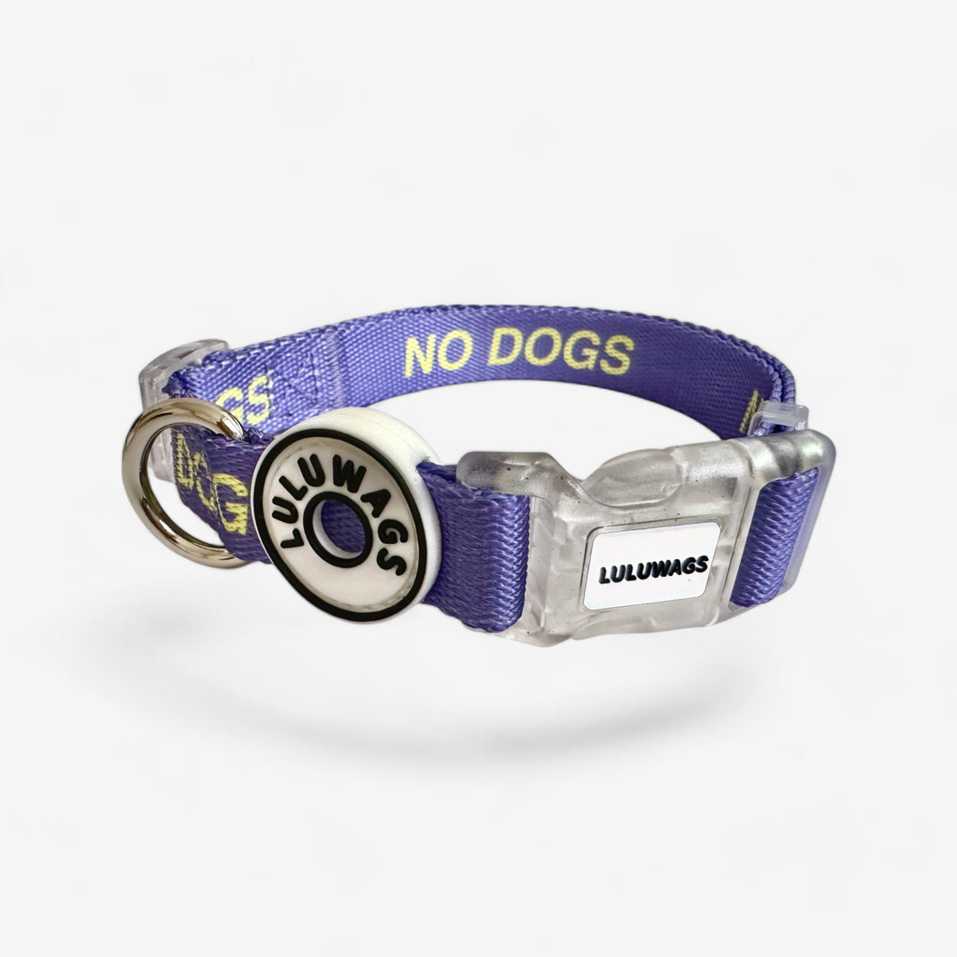 'No Dogs' © Dog Collar