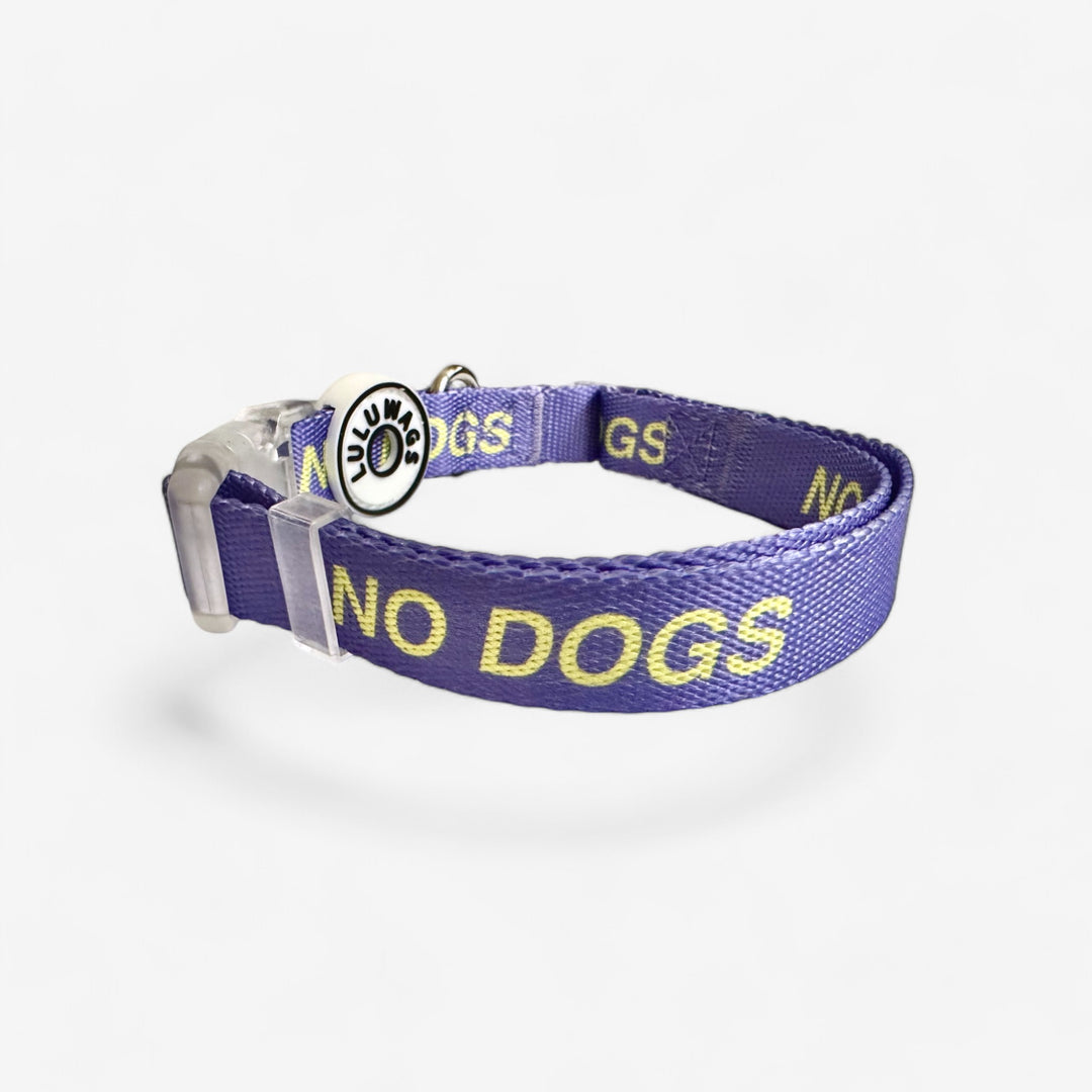 'No Dogs' © Dog Collar