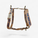 'The Best Dog' © Dog H-Harness