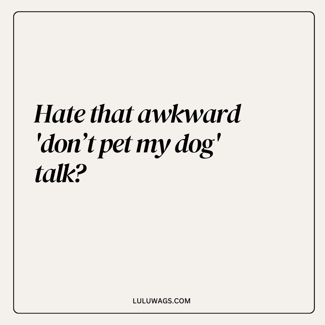 Hate that awkward 'don’t pet my dog' talk?