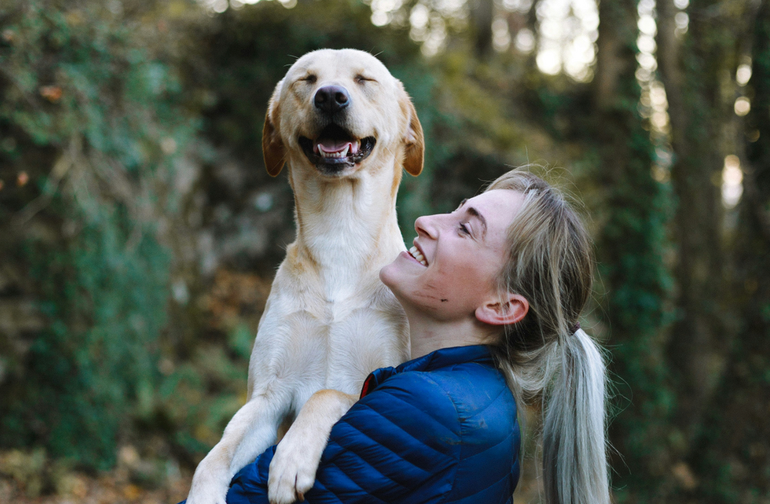 Hands Off My Pup: The Unspoken Tension in Public Dog-Petting