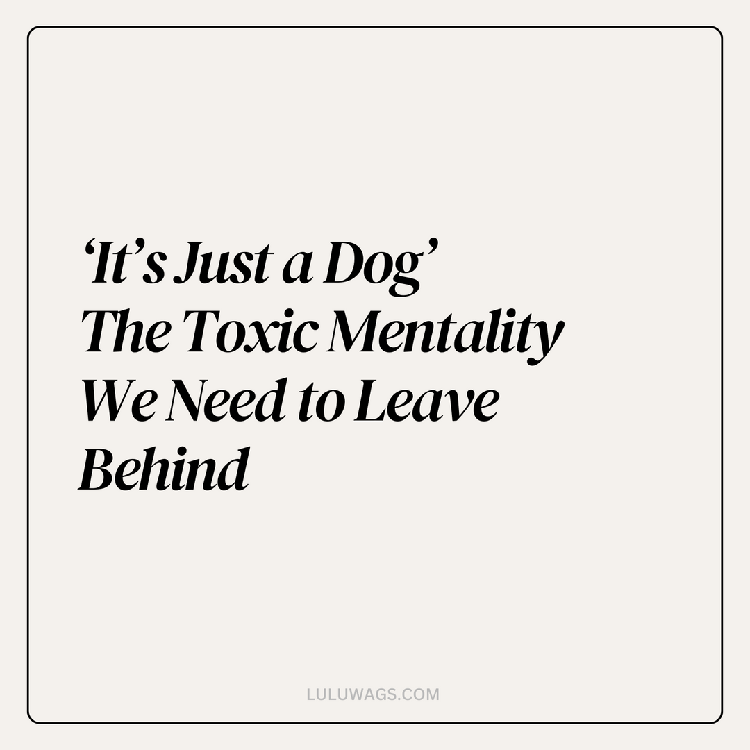 "It’s Just a Dog" – The Toxic Mentality We Need to Leave Behind