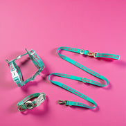 'Cute, but hands-off' Dog Walking Set