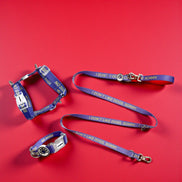 'I don't like dogs, sorry' Dog Walking Set