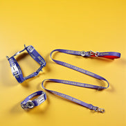 'I'm training, Give me space' Dog Walking Set