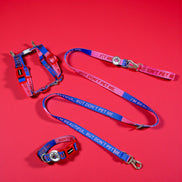 'I'm Beautiful, But Don't Pet Me' Dog Walking Set