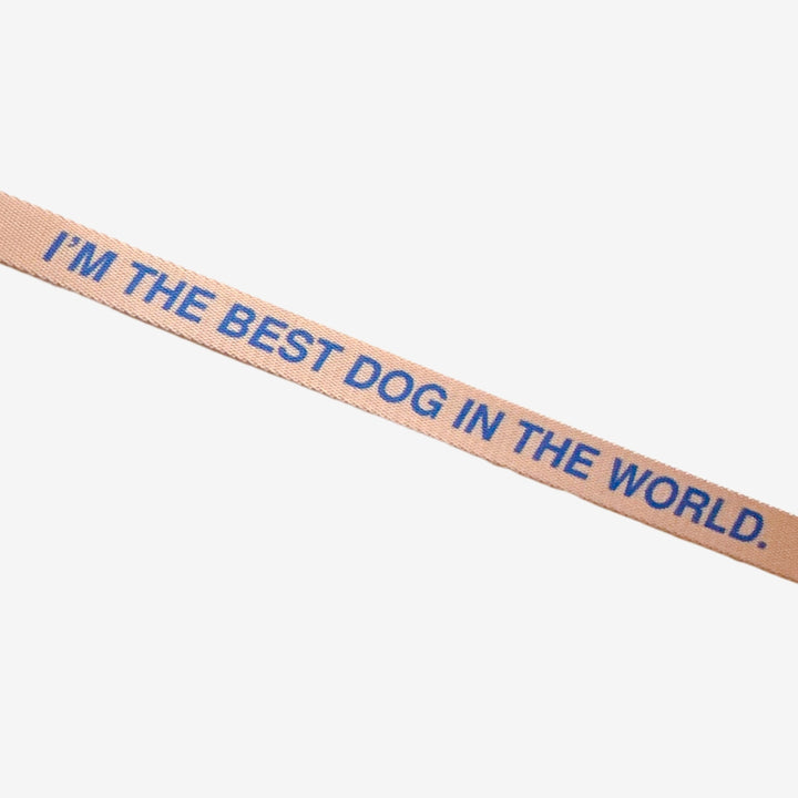 ‘I’m the best dog in the world’© Hands-Free Dog Lead