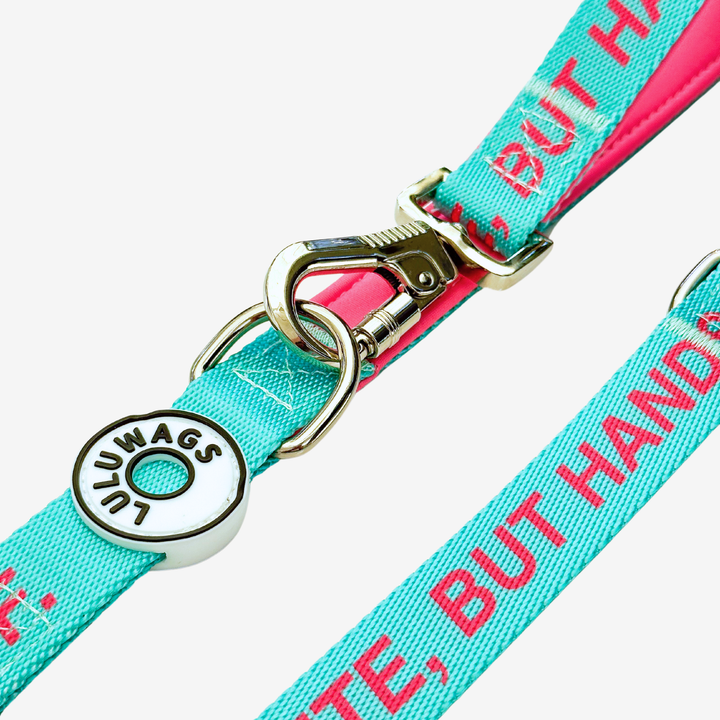 ‘Cute, but hands-off’ © Hands-Free Dog Lead