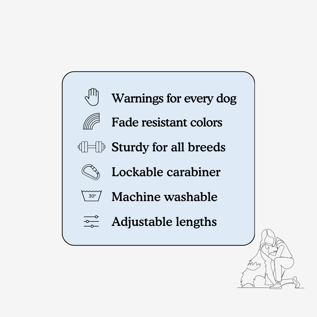 ‘I’m the best dog in the world’© Hands-Free Dog Lead