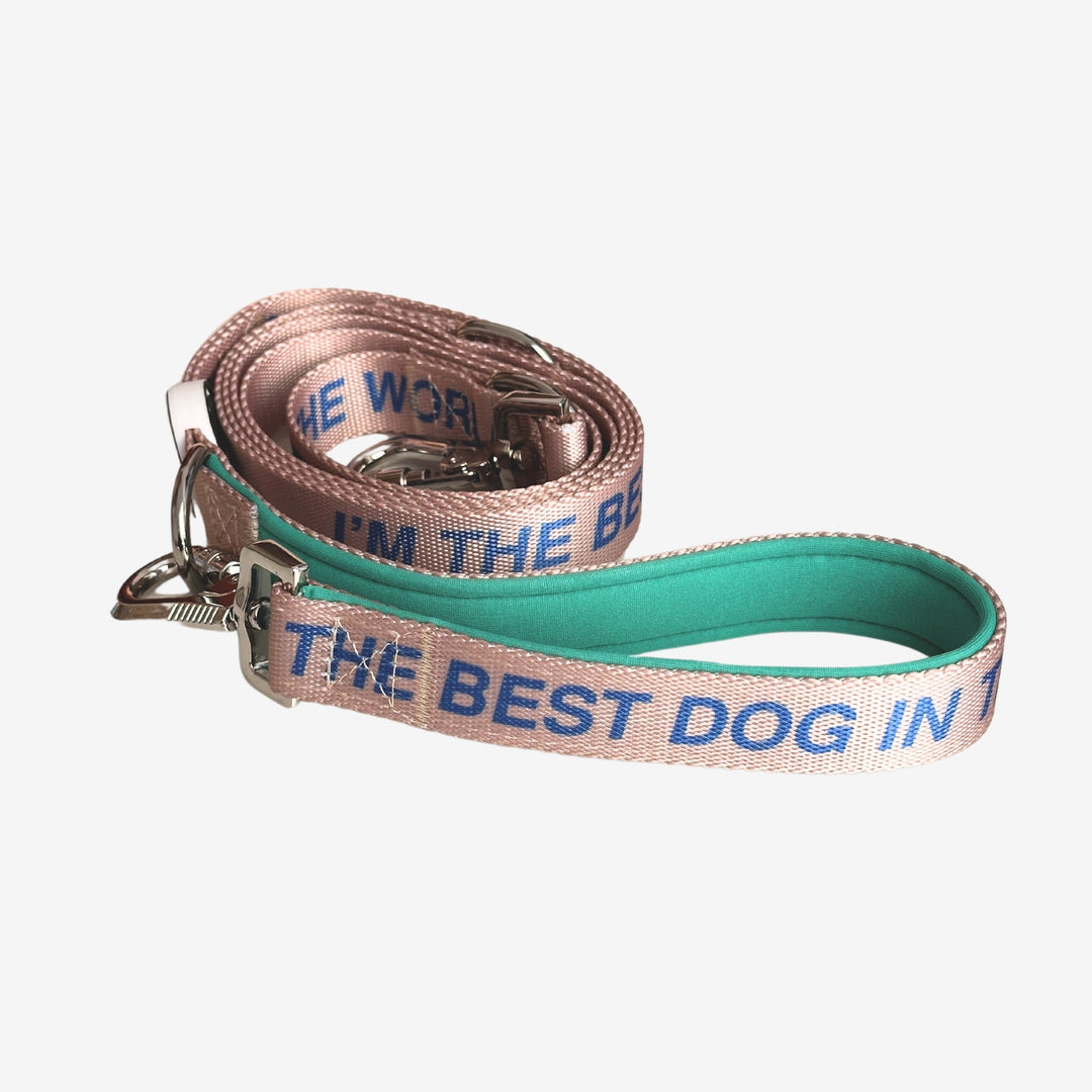 ‘I’m the best dog in the world’© Hands-Free Dog Lead