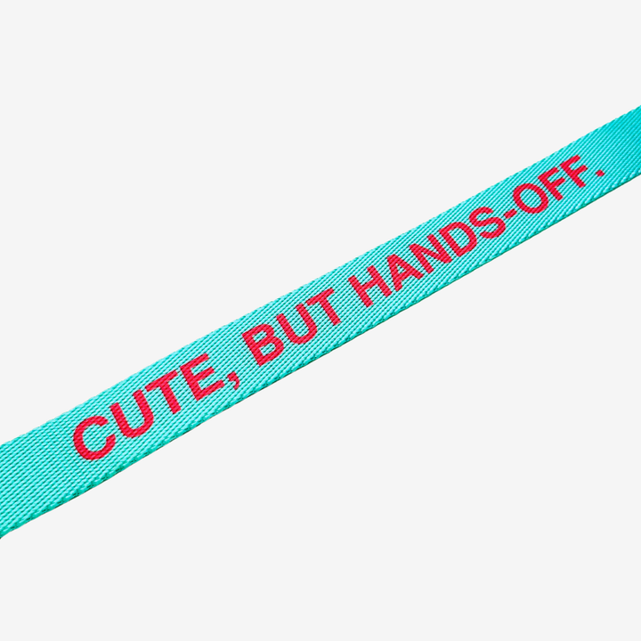 ‘Cute, but hands-off’ © Hands-Free Dog Lead