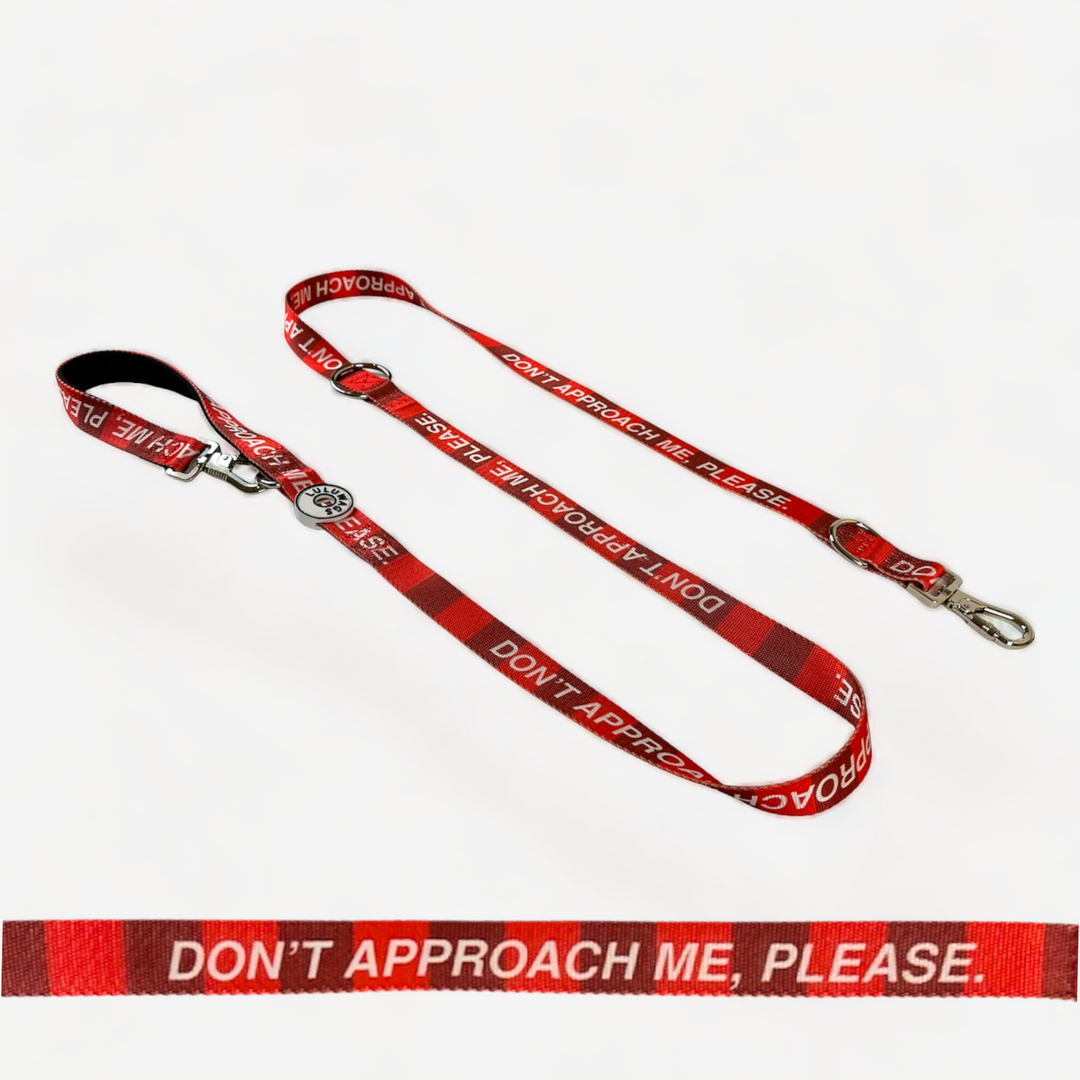 'Don't approach me, please' © Dog Lead