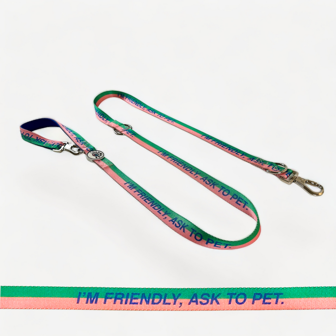 'I'm friendly, ask to pet' © Dog Lead
