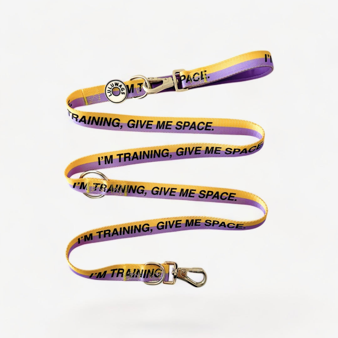 'I'm training, give me space.' © Dog Lead
